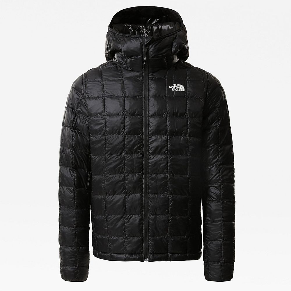 The North Face Hooded Jacket Mens Australia - The North Face Thermoball™ Eco Black Hiking (TWQ-20534